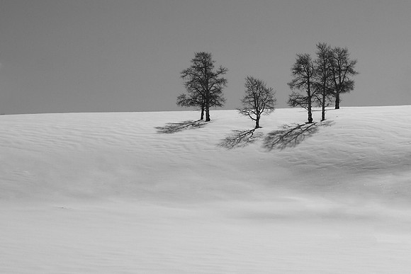 'The Stand'