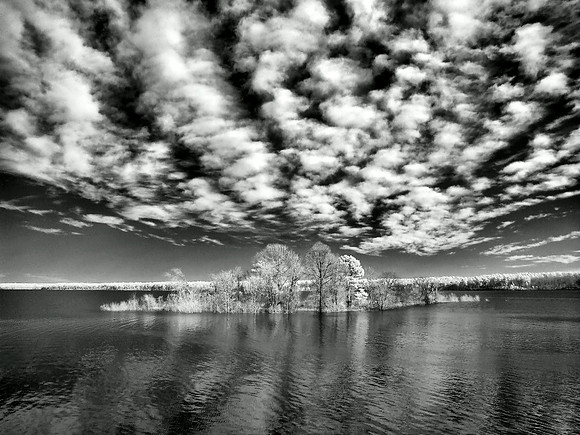 'Winter Skies'