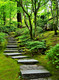'Verdant Pathway'