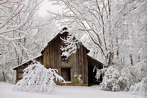 'White Christmas'