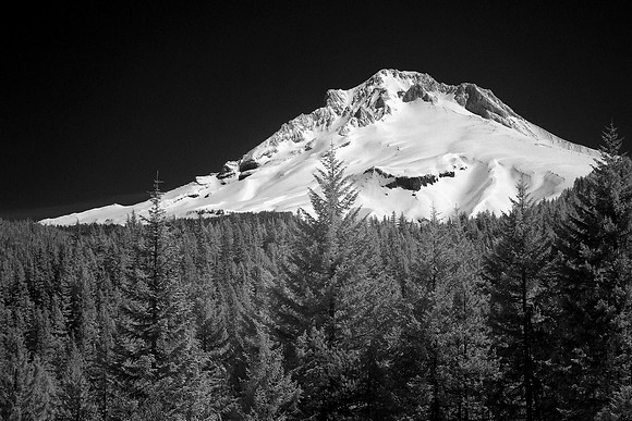 Mt. Hood