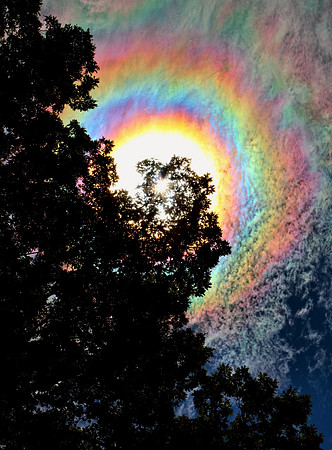 'A Different Kind of Rainbow'