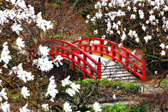 'Bridge to Spring'
