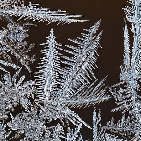 Frosty!
