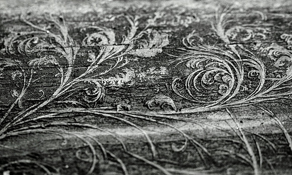 Ice Filigree