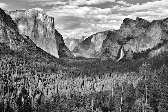 'Grandeur' (Monochrome)