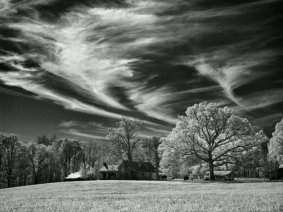 'High & Wispy'
