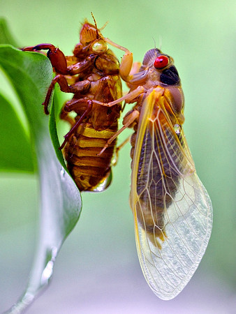 'Ready for Liftoff'