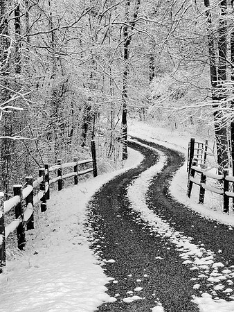 'Wishing for Winter'