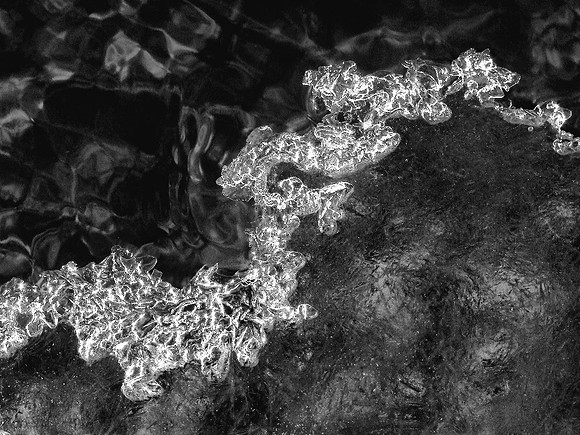 'Transition' (Monochrome)